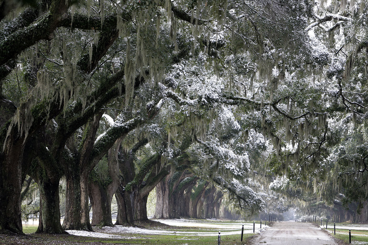 Post and Courier Snow Photos (copy)